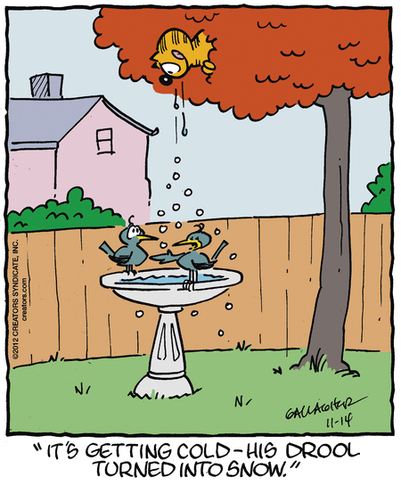 heathcliff